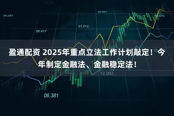 盈通配资 2025年重点立法工作计划敲定！今年制定金融法、金融稳定法！