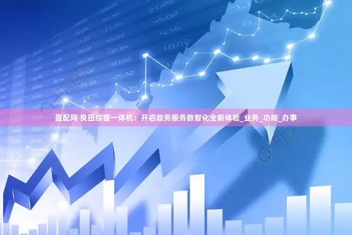 盈配网 良田综窗一体机：开启政务服务数智化全新体验_业务_功能_办事