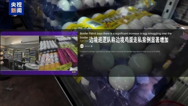 星速配资 冲上热搜！美墨边境开始走私鸡蛋！“关税政策反噬美国本土民众”
